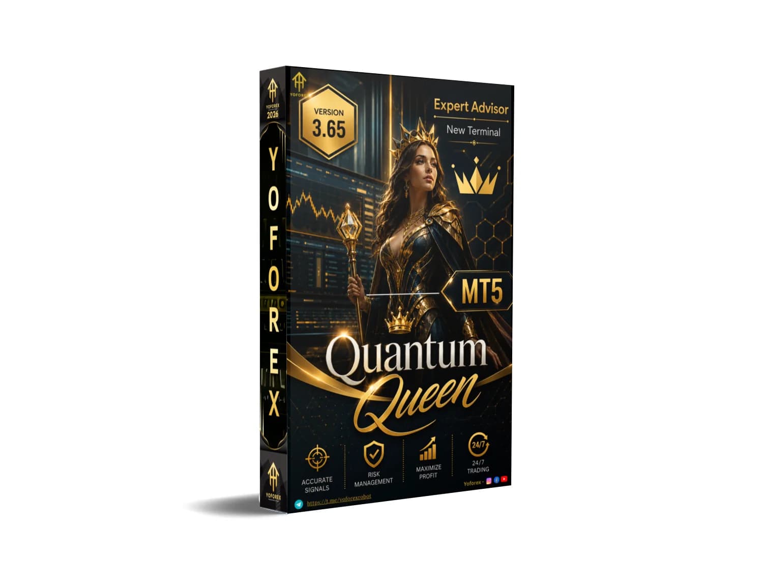 🚨 Quantum Queen MT5: The Trading Breakthrough You Must Grab NOW!
