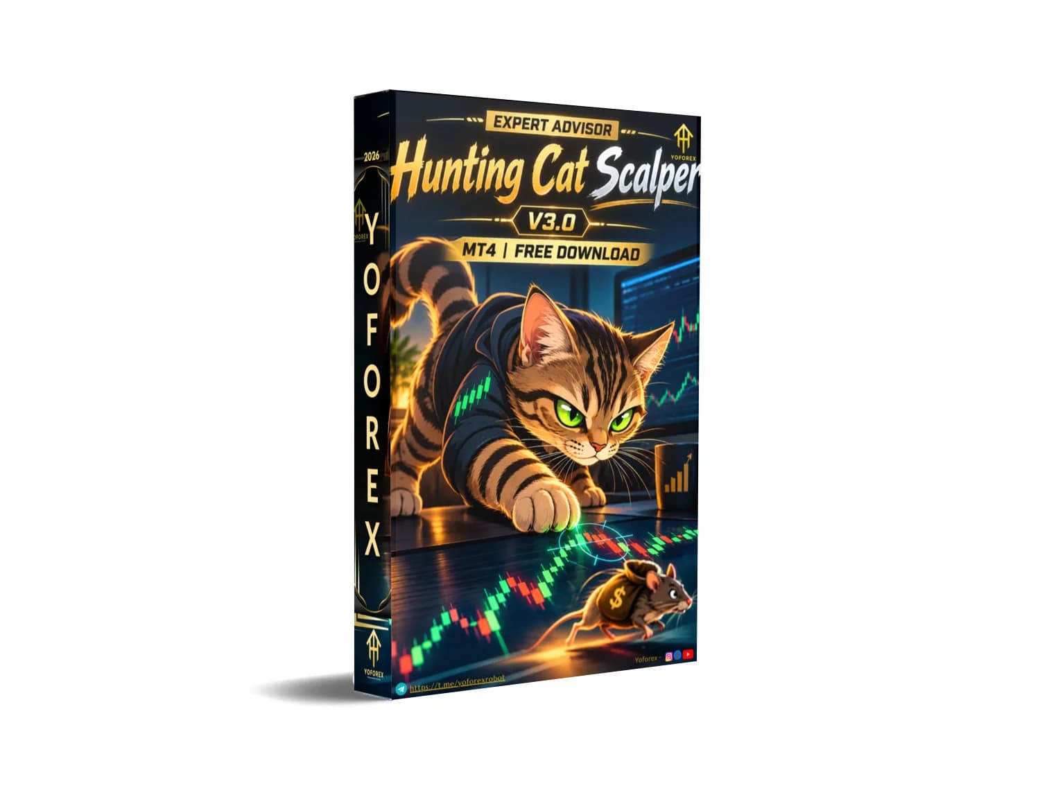 Hunting Cat Scalper EA V3.0 MT4