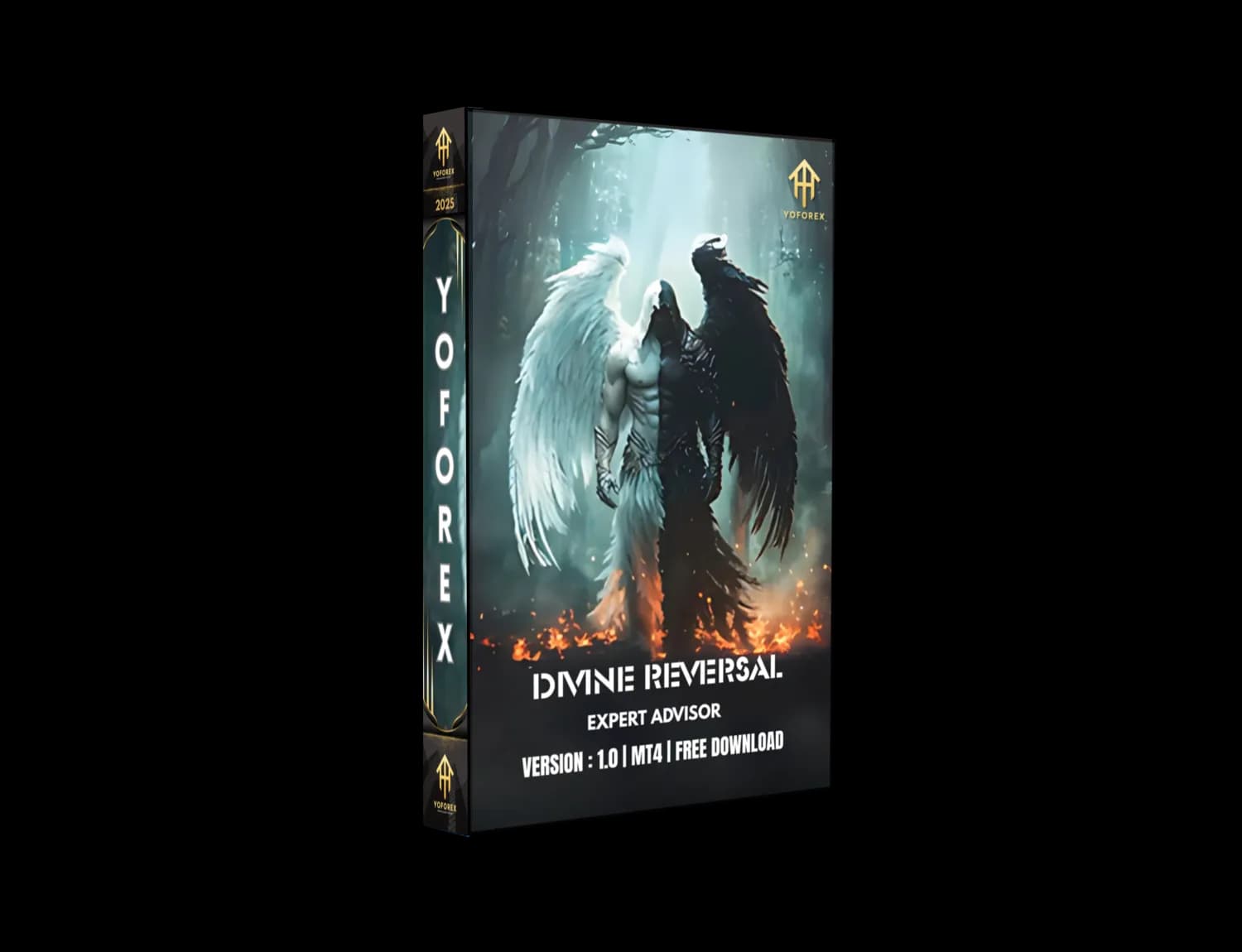 Divine Reversal EA V1.0 MT4