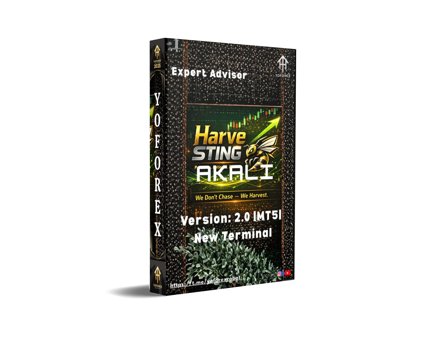 HarveSTING X MT5: Sting the Markets into Submission and Harvest Your Fortune!