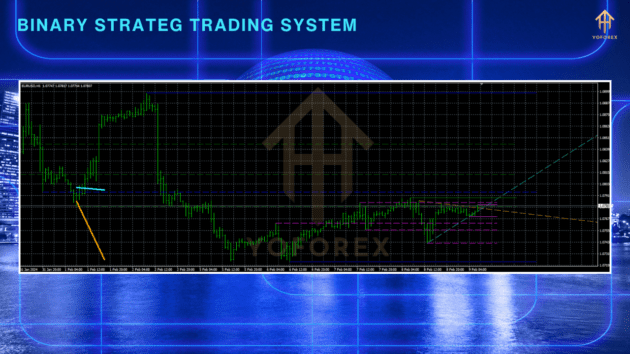 Binary Strateg Trading System Indicator