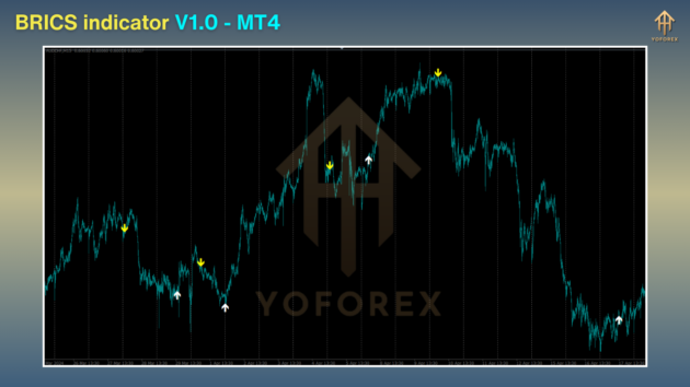 brics indicator v1.0