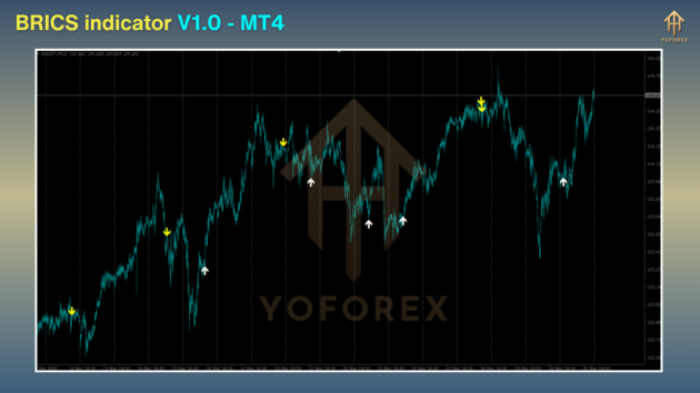 brics indicator v1.0