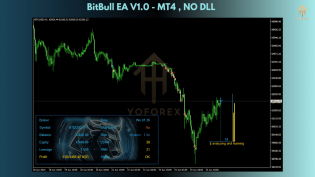 bitbull ea v1.0