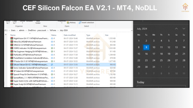 cef silicon falcon ea v2.1