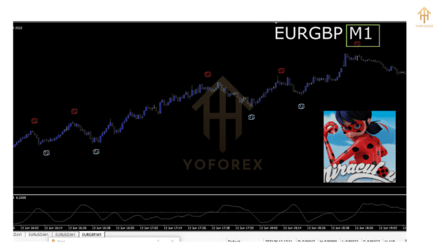 miraculous forex indicator