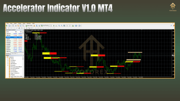 accelerator indicator v1.0