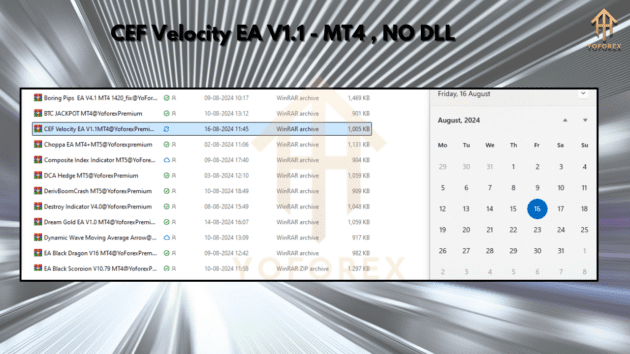 cef velocity ea v1.1 mt4