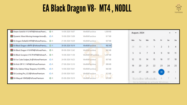 ea black dragon v8 mt4