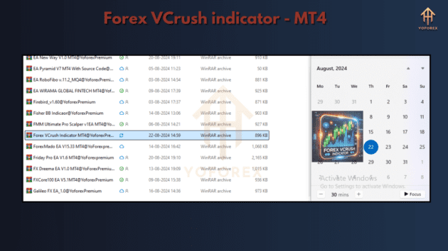 forex vcrush indicator mt4