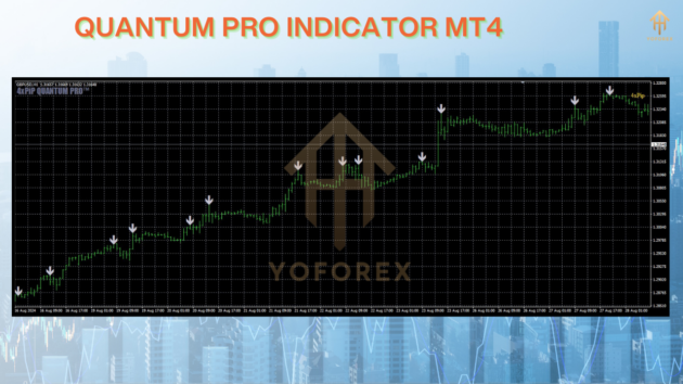 quantum pro indicator