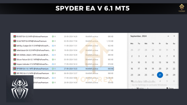 spyder ea v 6.1