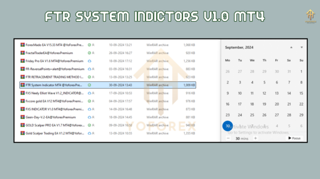 ftr system indicators v1.0