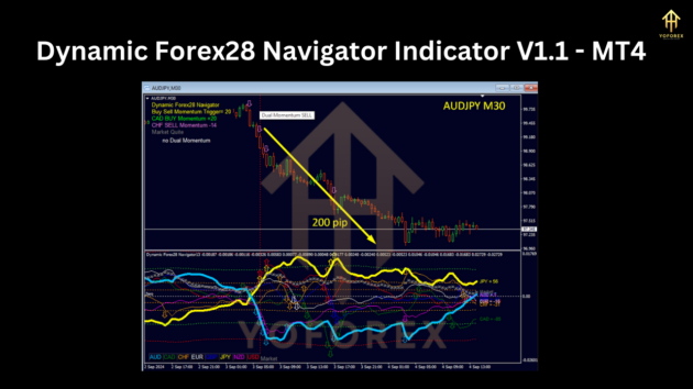 dynamic forex28 navigator indicator v1.1 mt4