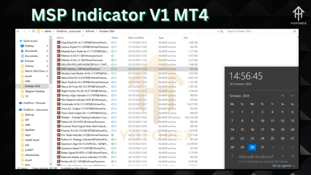 msp indicator v1