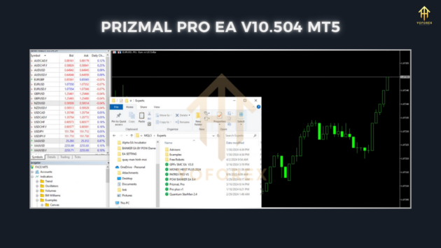 prizmal pro ea v10.504