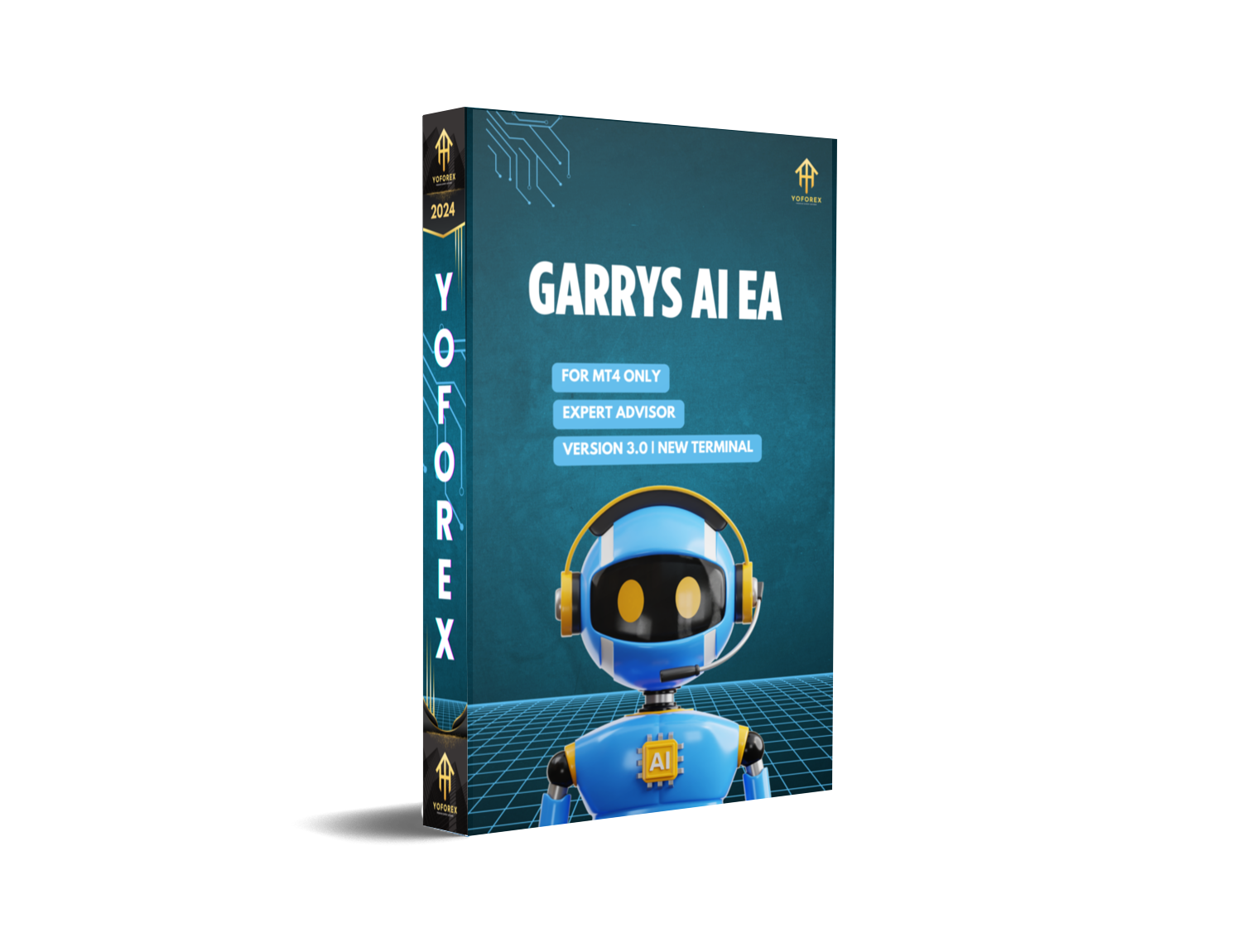 garrys ai ea